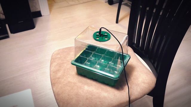 Набор по выращиванию Бонсай