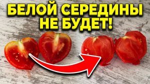 Белой середины и желтых плечиков не будет, сделайте так!