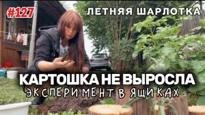 Живём в деревне. Работы в огороде. Картошка в ящиках не выросла.