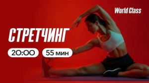 СТРЕТЧИНГ с Еленой Жиляевой | 2 августа 2026 | Онлайн-тренировки World Class
