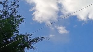 Антенна Фукса.