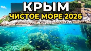 Крым сегодня 2026: Самое чистое Черное море! Снорклинг в Крыму, подводный мир Кастрополь дикий пляж