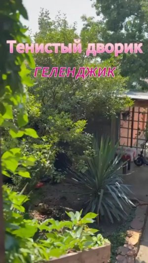 Геленджик, частный сектор «Тенисный Дворик»