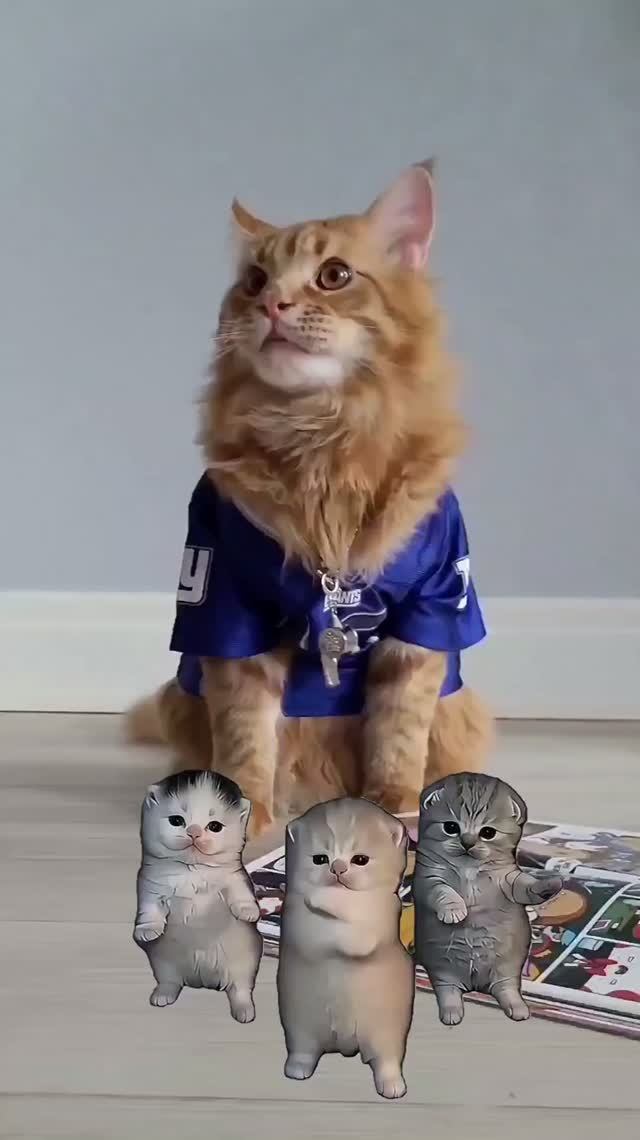 #ТанецКотят