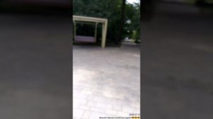 Парк, но все пллатно