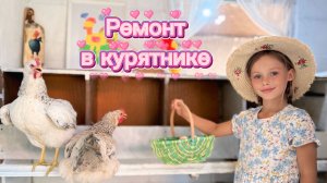 Сделала ремонт в курятнике своими руками. Как вам результат?!