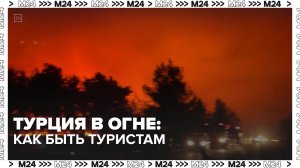 Лесные пожары в Турции: как быть туристам – Москва 24