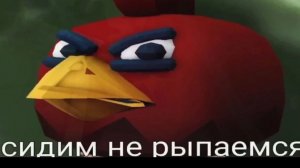 Мирюсь с котом34к и добовляю в банду котаи васяна