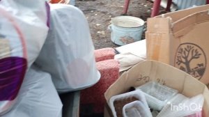 31/07/2026 /как живут в русской деревне...