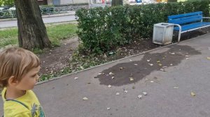 НА САМОКАТАХ👍💥💯💕