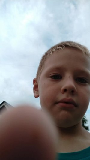 офигели
