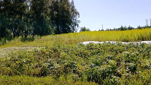 Деревенская жизнь , Кузьмича