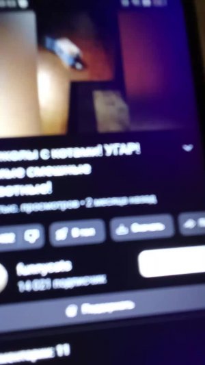 смешные видео