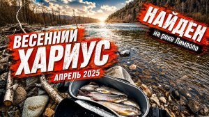 Весенний хариус на реке Арсеньевка 2025