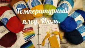 СП «Температурный плед с Екатериной Шурм» 2026, участник 2.