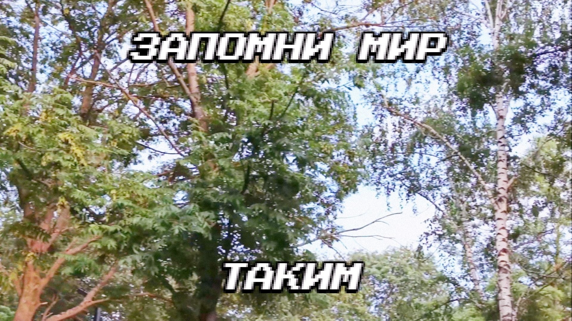 Запомни мир таким