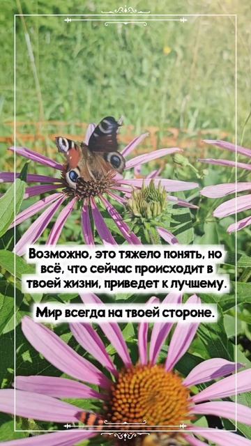 Мотивация