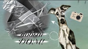 Новый дом! Собаки заговорили?