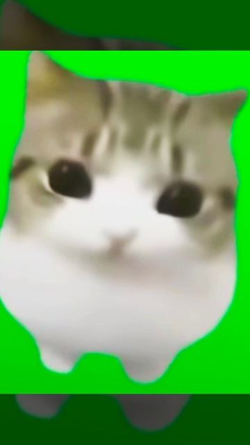 мем