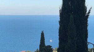 Ялта. Полнолуние. Лунная дорожка. Июль 2026. Крым. Crimea. Yalta. Russia.