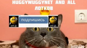 Фан клуб Кесси