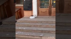 китай.мантчжурия,4я улица!