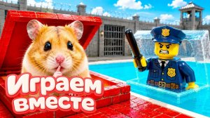 Хомячок проходит лабиринт- ЛЕГО лабиринт для хомяка своими руками! Приключения хомяка для детей №7