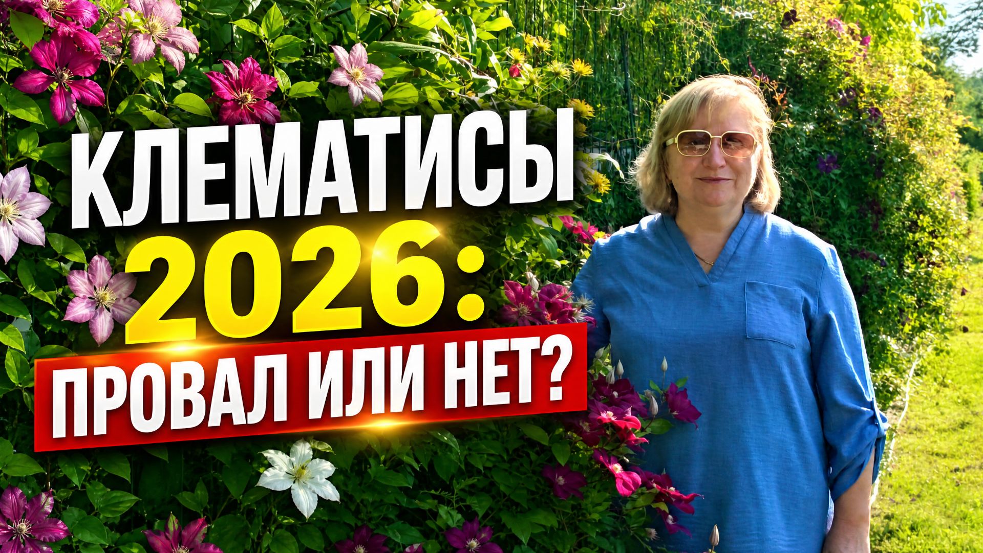Клематисы 2026: Худший Год В Подмосковье Или Есть Нюансы?