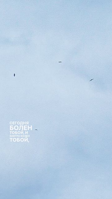 Сегодня болен тобой и завтра болен тобой...