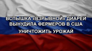 Вспышка «взрывной» диареи вынудила фермеров в США уничтожить урожай