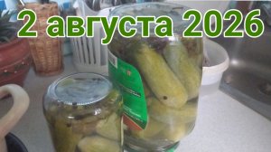 2 августа 2026. Кухонные августовские посиделки...
