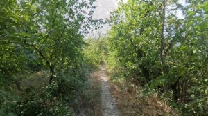 2.08.С праздником ВДВ, РЖД.