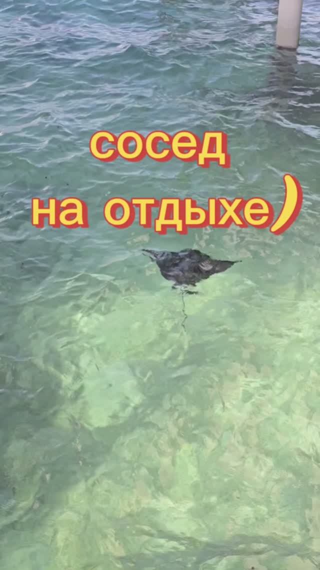 Соседи на отдыхе.. #грузовыерешения #дальнобой #логистика #отдыморе