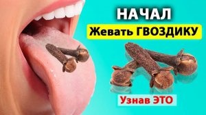 Гвоздика 🔥 Жевала и избавилась от 10 недугов! Польза и вред — разбор 💥