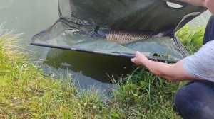 Поимка карпа на 8 кг в большом водоёме