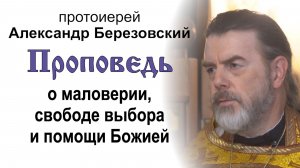 Проповедь о маловерии, свободе выбора и помощи Божией (2026.08.02). Протоиерей Александр Березовский