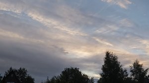 03-08-2026.Дача..Убираю  чеснок на хранение..Гиппеаструм Самба.