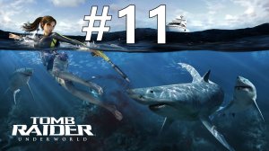 БАШНЯ С СЮРПРИЗАМИ ► Tomb Raider: Underworld #11