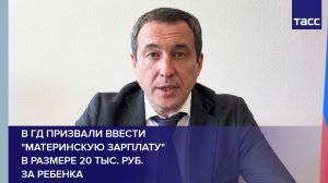 В ГД призвали ввести «материнскую зарплату» в размере 20 тыс. руб. за ребенка