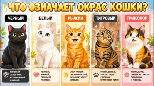 Что цвет шерсти кошки На Самом Деле говорит о её характере и здоровье？