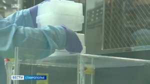 Вести Ставропольский край. События недели (2.08.2026)