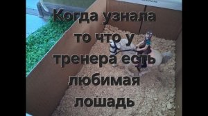 Типичные всадники шляйх