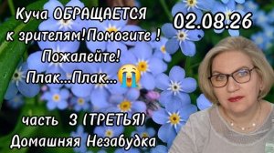 3 часть. Куча обращается к зрителям❗️Помогите❗️Пожалейте❗️Плак...😭❗️