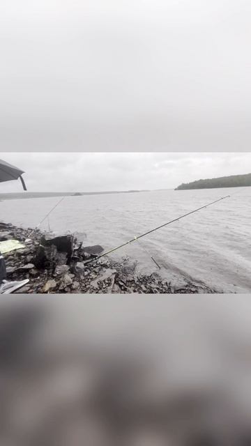 Рыбалка в дождь