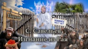 Вершина пищевой цепочки.