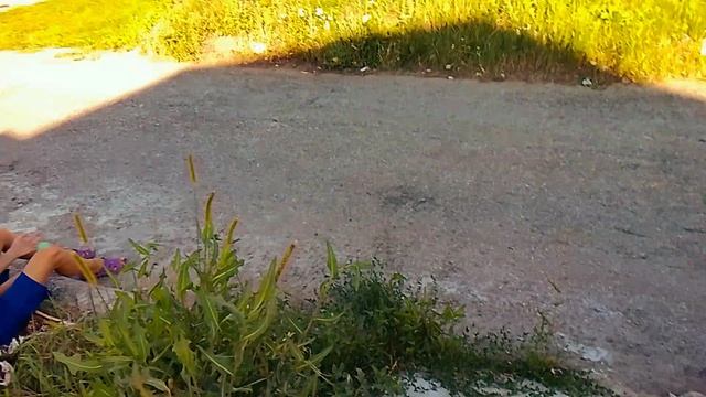 мы гуляем с Микки в реальной жизни.