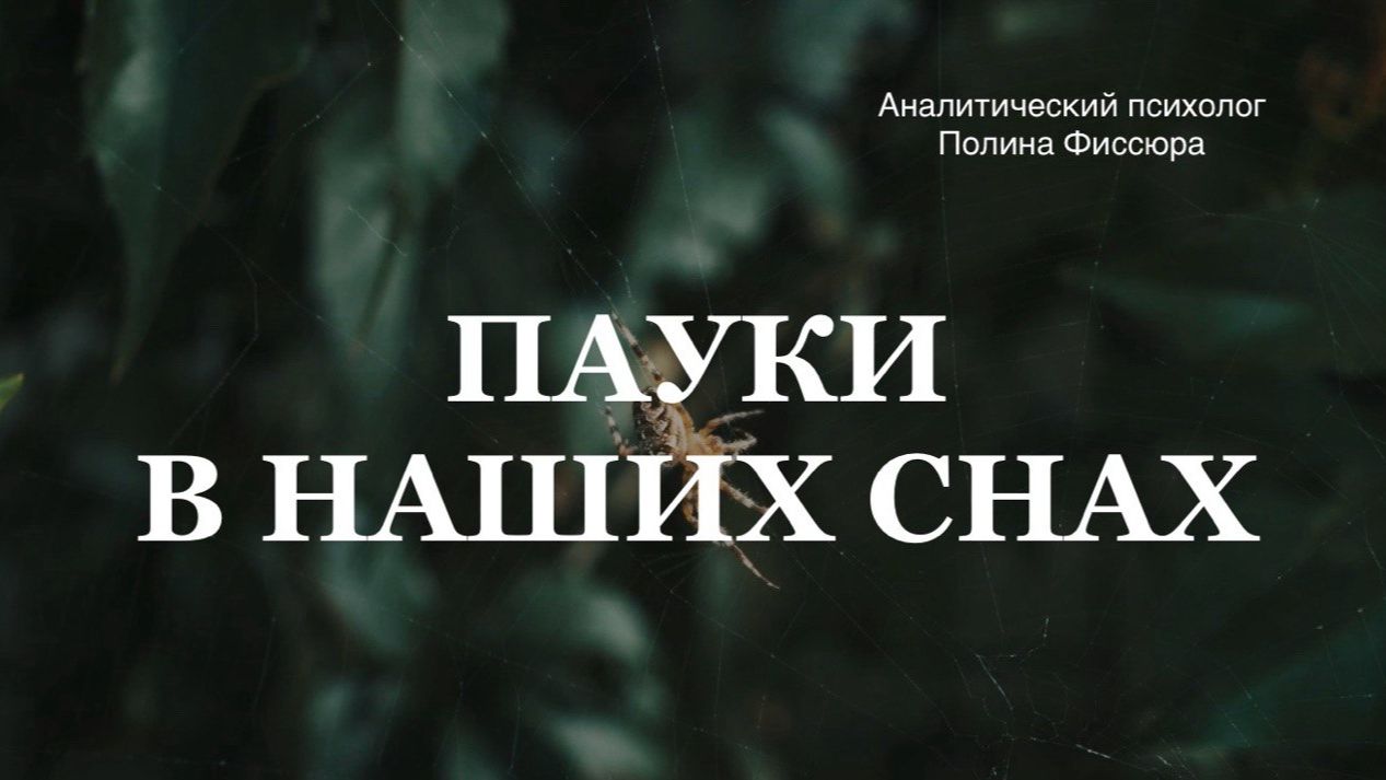 К чему снятся пауки: психология сновидений