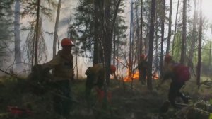 В российских регионах идёт борьба с природными пожарами