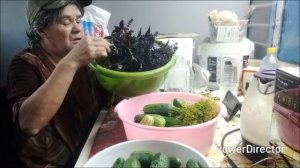 Жара вернулась, занимаюсь огурцами.