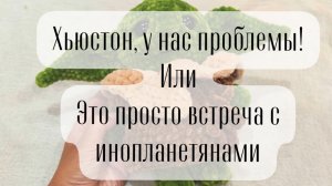 СП «Вязание это серьёзно - 2 Кругосветка» отчет 28